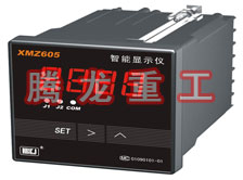 溫度表、數(shù)字顯示儀、濕度表