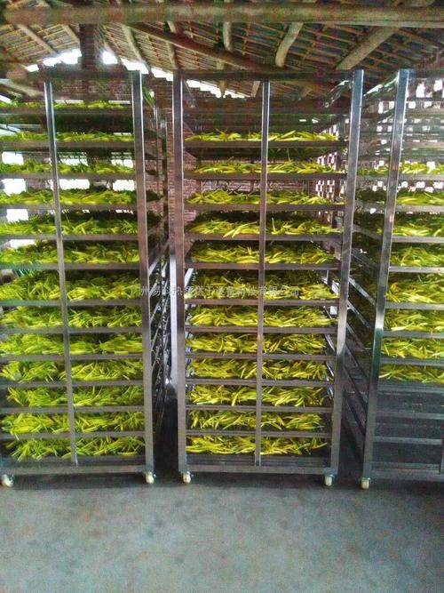 黃花菜烘干機、黃花菜烘干設(shè)備、黃花菜干燥機、黃花菜干燥設(shè)備、